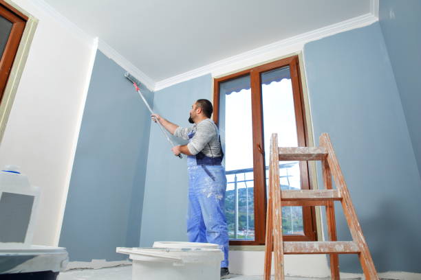 Trusted San Francisco, CA Mold Removal Experts