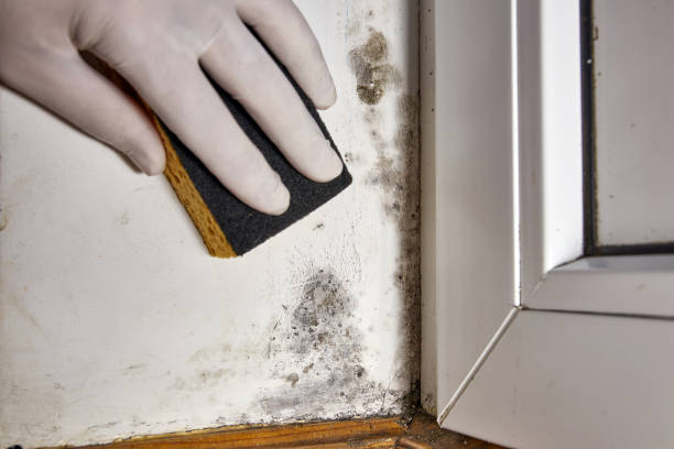 Dehumidification Services in San Francisco, CA